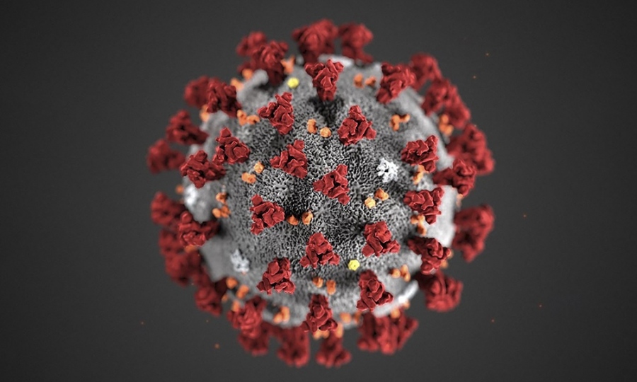 120 са новите случаи на коронавирус, под 1% положителни тестове